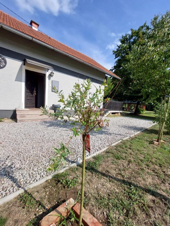 House Kupa Mb Villa Petrinja Exteriör bild