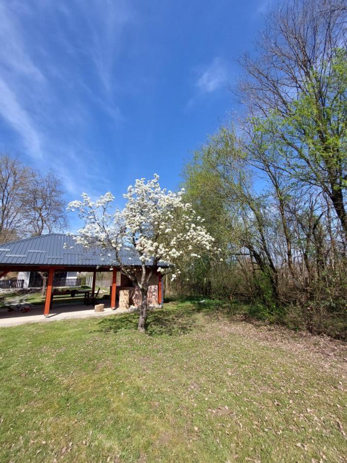 House Kupa Mb Villa Petrinja Exteriör bild